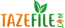 Tazefilecom logo
